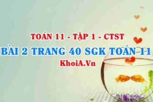 Bài 2 trang 40 SGK Toán 11 Tập 1 Chân trời sáng tạo